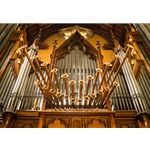 Organ image