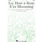 Lo, How a Rose E'er Blooming