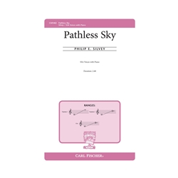 Pathless Sky