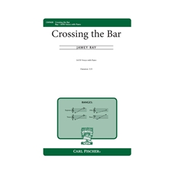 Crossing the Bar