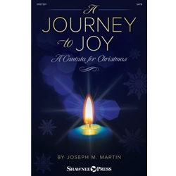 A Journey to Joy