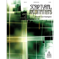 Scriptural Meditations